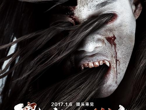 泰国驾照怎么买到